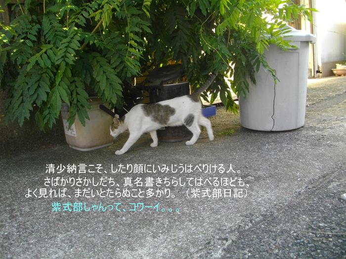 ねこ替え歌_e0265768_18204778.jpg