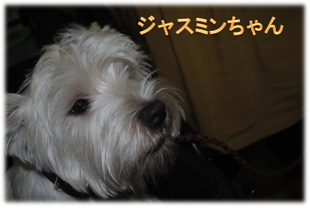 b0242873_23141884.png