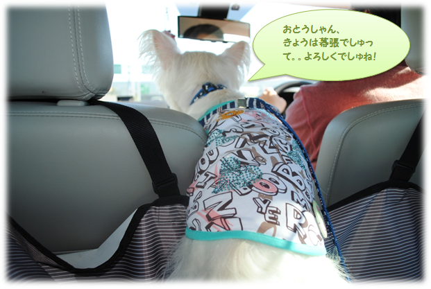 b0242873_2385241.png