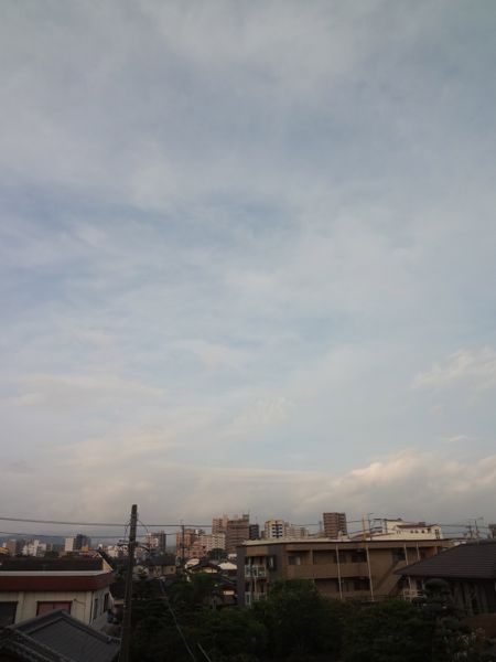 c0169176_64179.jpg