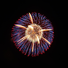 a0108380_10345813.png