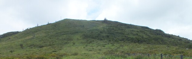 e0145782_17442193.jpg