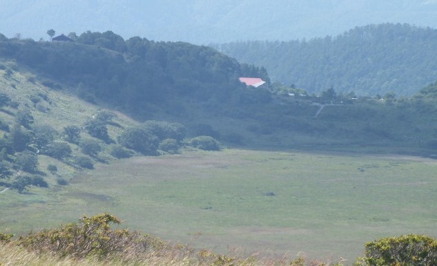 e0145782_1746555.jpg