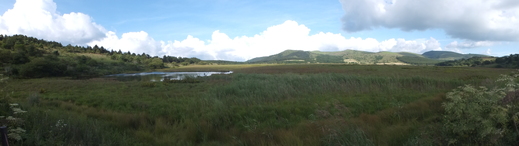 e0145782_17484488.jpg