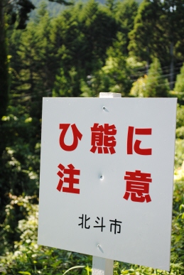 f0171283_99307.jpg