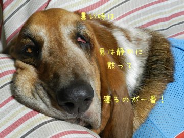 f0205887_20135059.jpg