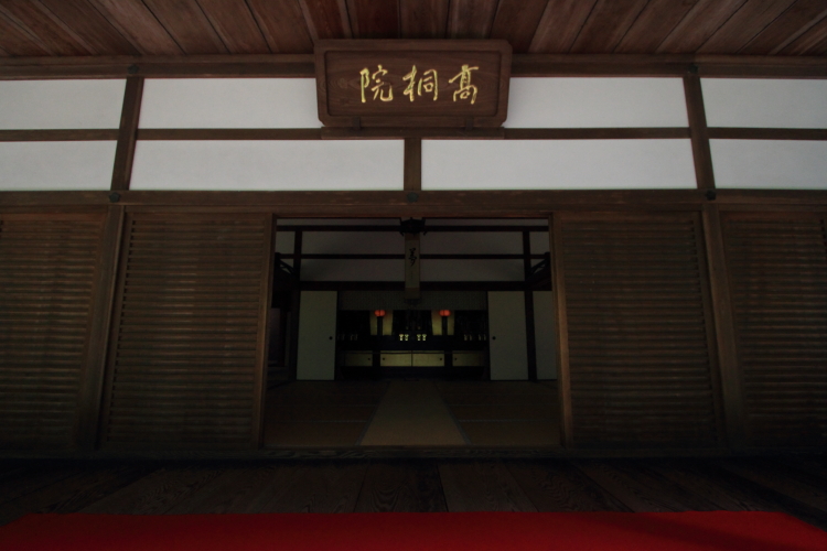 高桐院(大徳寺塔頭)_e0051888_2055496.jpg