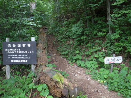 はじめての焼岳（北峰）　新中の湯～中尾温泉コース_e0271890_18221097.jpg