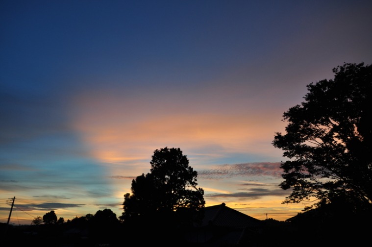d0021491_024190.jpg