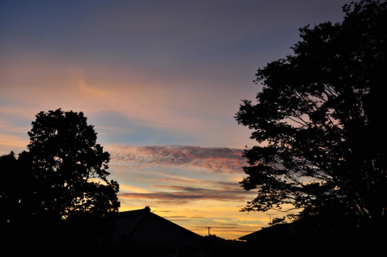 d0021491_0242159.jpg