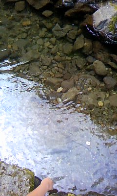 a0206892_1556478.jpg