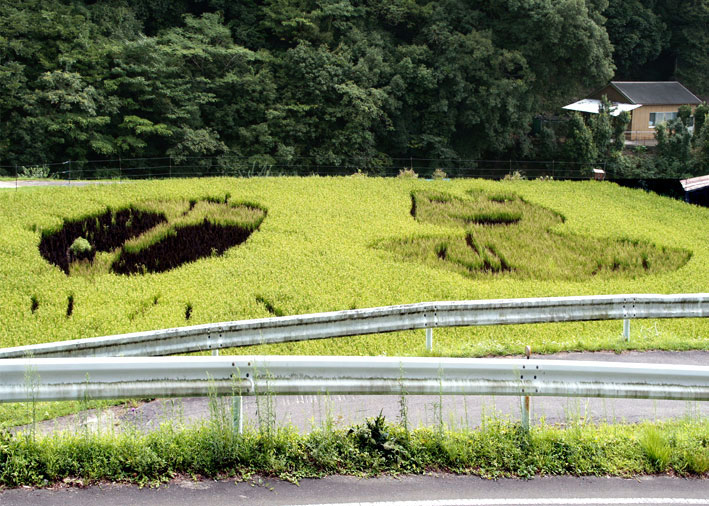 田んぼアートも秋色_b0145296_17573238.jpg
