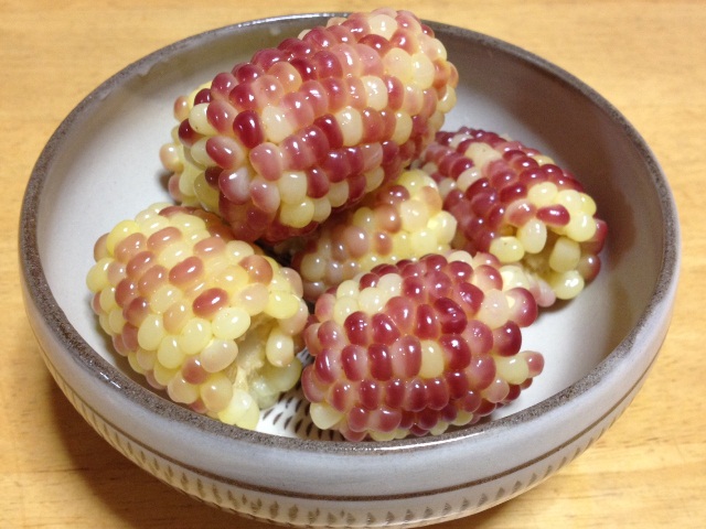b0125397_11142938.jpg