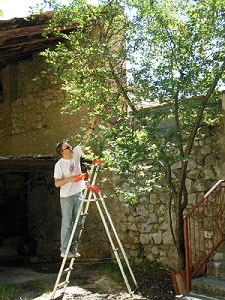 Da Antonio in Italia9_e0170101_15572125.jpg