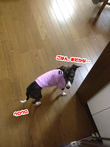 e0290901_15482620.png