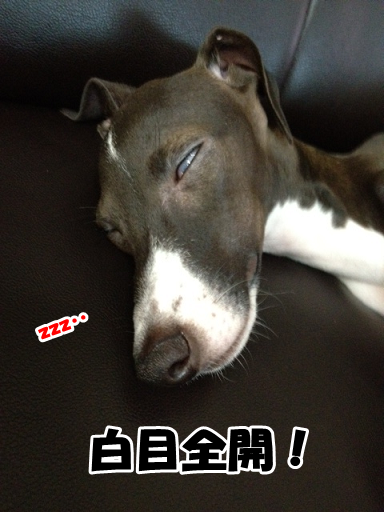 e0290901_1553355.png