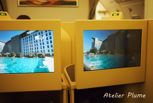 ドバイ旅行 8_e0154202_0111731.jpg