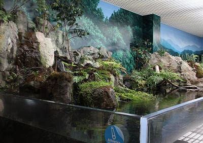 a0123003_16104179.jpg