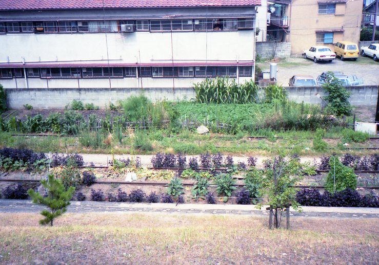 e0264203_23441245.jpg