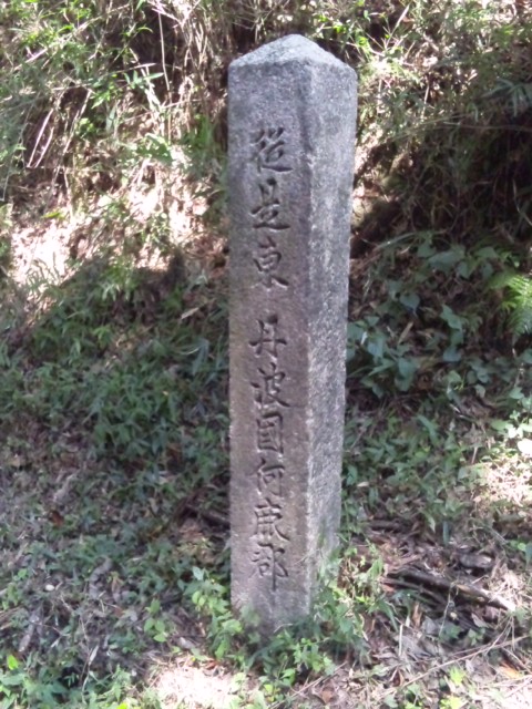 「枯木延命地蔵尊」~綾部市 枯木峠~_e0252905_13481292.jpg