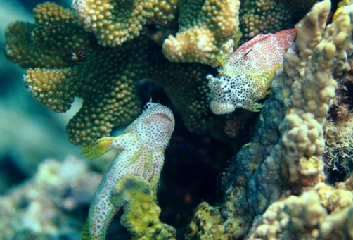 f0177305_251998.jpg