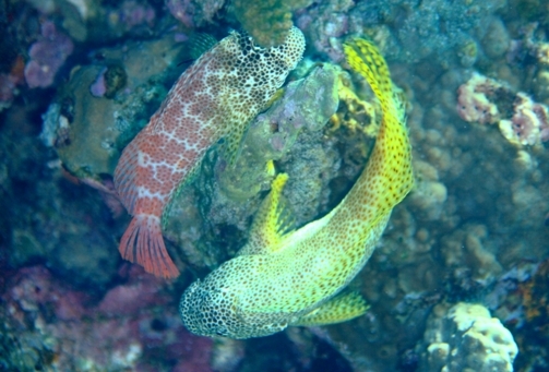 f0177305_261338.jpg