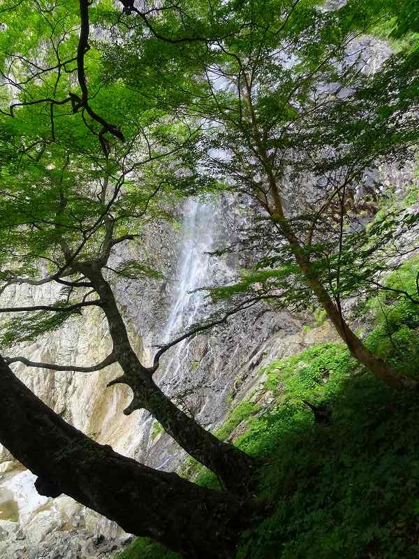 高瀑　（たかたる）　の滝_b0124306_1512541.jpg