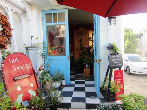 鎌倉山へ Daisy Bee の多肉でガーデニング 鎌倉山へ Daisy Bee の多肉でガーデニング