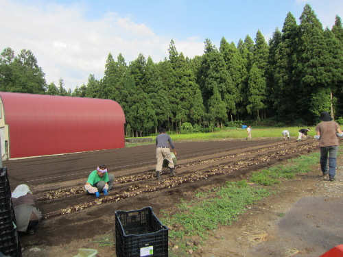 8月の終わり_f0067514_2129287.jpg