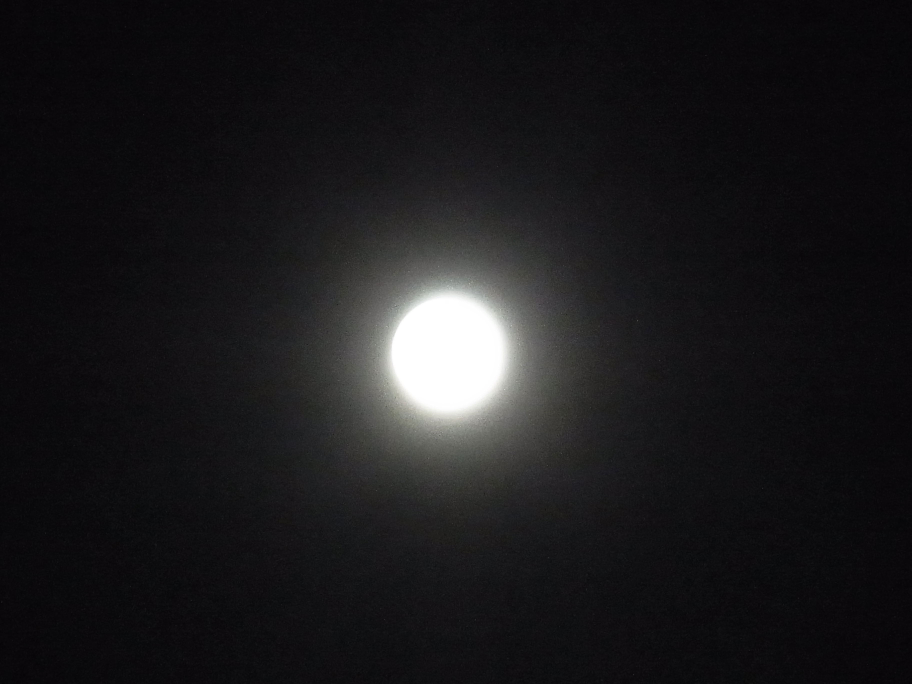 a0214919_81454.jpg