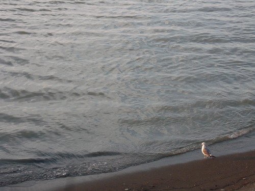 e0218019_133730.jpg