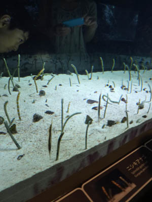 a0230928_13826.jpg