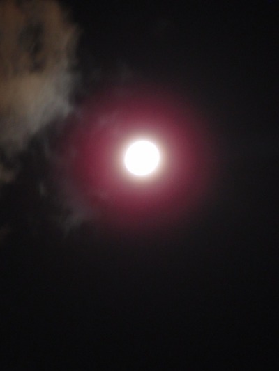 ブルームーン_a0231828_237409.jpg