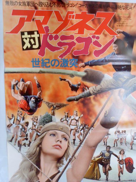 カラテ映画いろいろ_a0196732_15294527.jpg