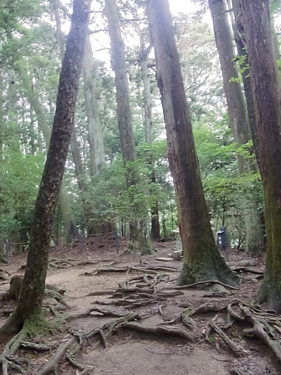 京都・鞍馬山_d0132132_1217595.jpg