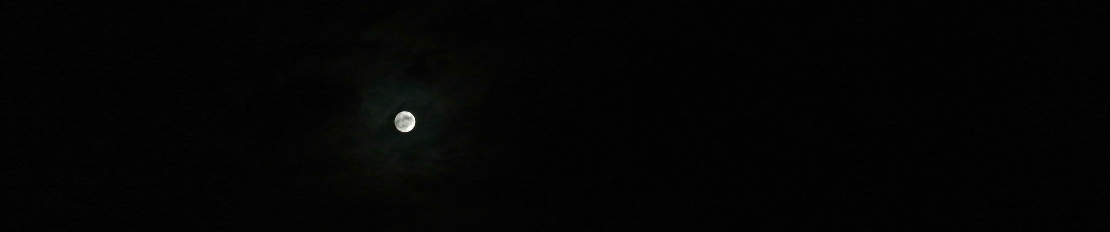 d0170835_201229.jpg