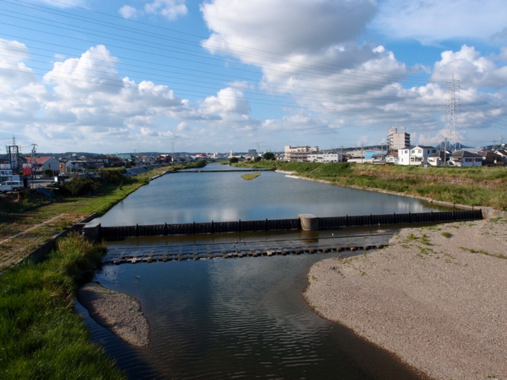 風と花の街   　　　明石川_e0093336_16295132.jpg