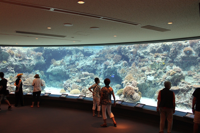 d0222641_905732.jpg