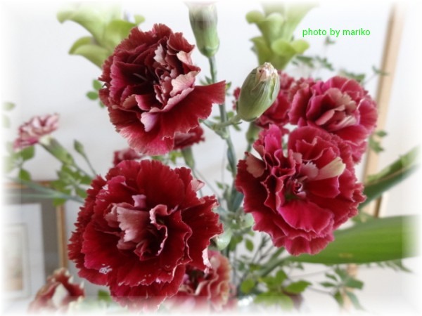 お花「ベッカム」_d0165645_18374110.jpg