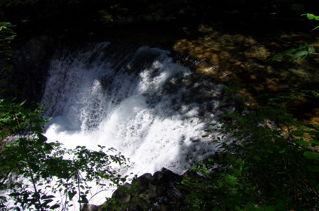 d0186245_11145793.jpg