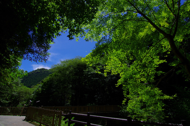 d0186245_11191699.jpg
