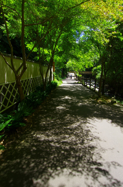 d0186245_11192922.jpg