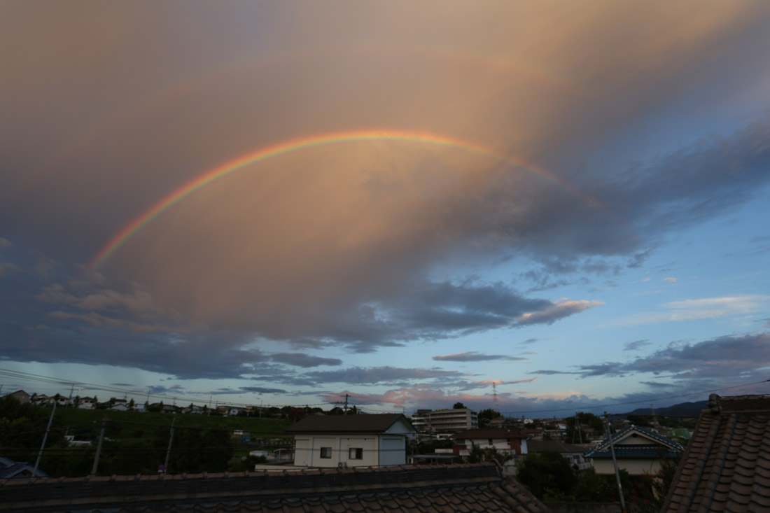 d0110849_23585977.jpg