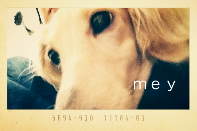 d0127350_941846.png
