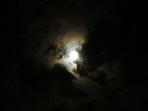 c0225153_23442845.gif