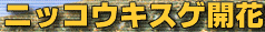 c0119160_2291826.gif