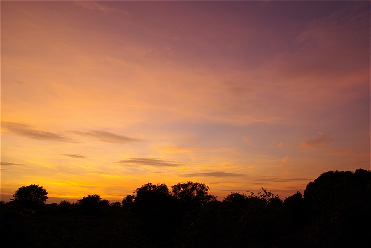f0222161_11155690.jpg
