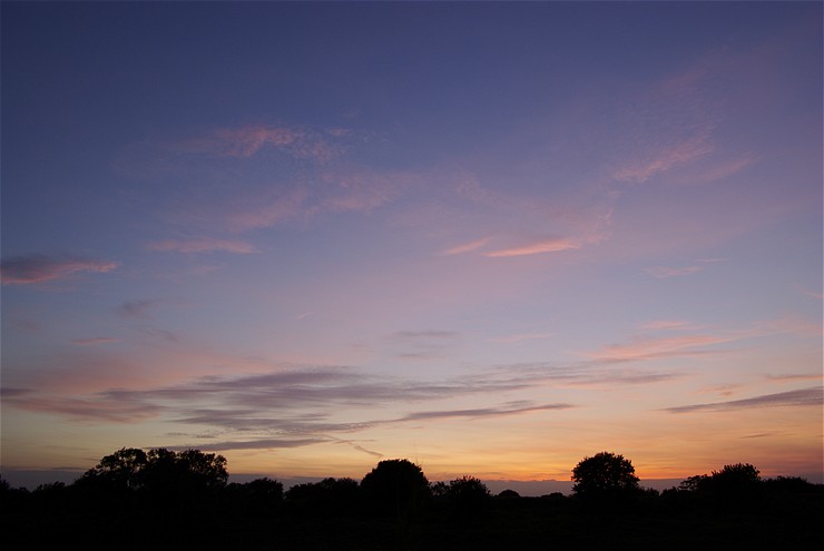 f0222161_11162619.jpg