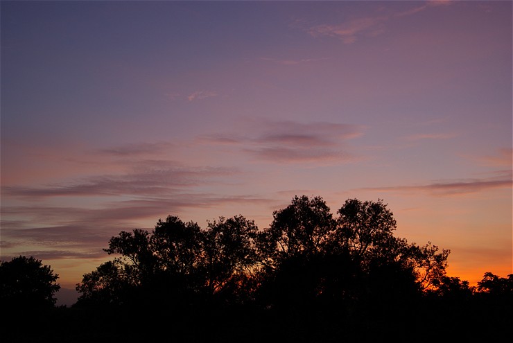 f0222161_1116391.jpg