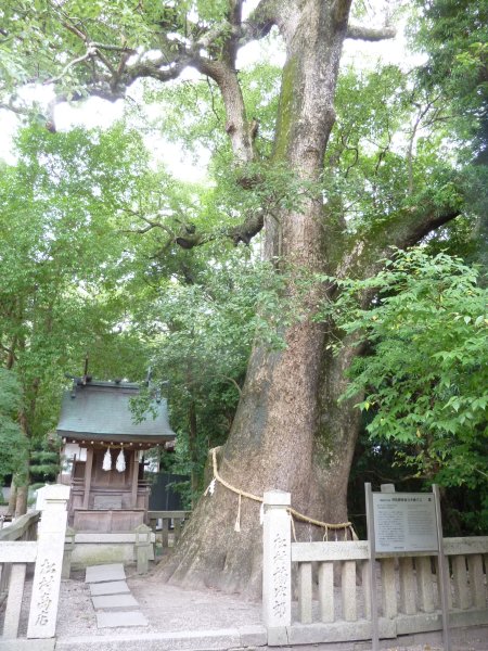 伊弉諾神宮（淡路島）_f0019063_18315347.jpg